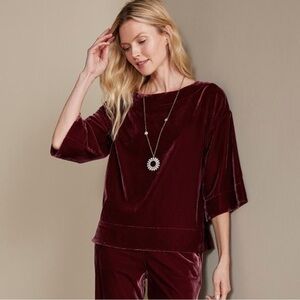 NWT Soft Surroundings Aria Velvet top in Cabernet Size: Large